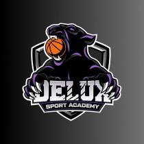 delux sport academy