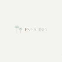 es salines