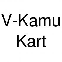 v-kamu kart