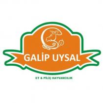 galip uysal et&piliç hayvancılık
