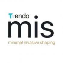 t endo mis minimal invasive shaping