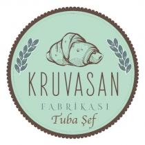 kruvasan fabrikası tuba şef