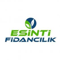 esinti fidancılık