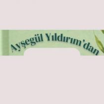 ayşegül yıldırım'dan