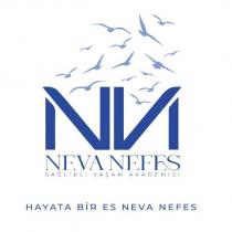 neva nefes sağlıklı yaşam akademisi hayata bir es neva nefes
