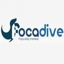 focadive foça dalış merkezi