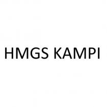 hmgs kampı