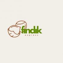 fındık express