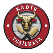 kadir yeşilkaya