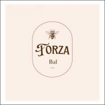 forza bal