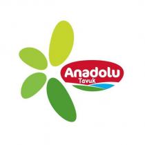 anadolu tavuk