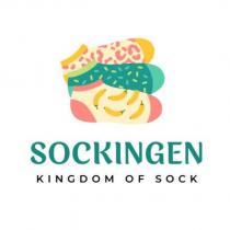 sockingen kingdom of sock