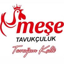meşe tavukçuluk tavuğun kalbi