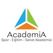 academia spor-eğitim-sanat akademisi