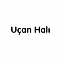 uçan halı