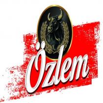özlem