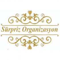 sürpriz organizasyon