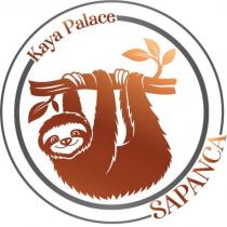 kaya palace sapanca