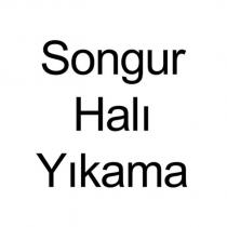 songur halı yıkama