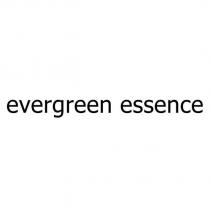 evergreen essence