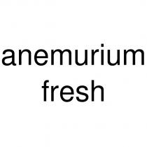 anemurium fresh