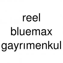 reel bluemax gayrımenkul