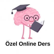 özel online ders