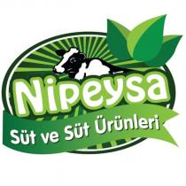 nipeysa süt ve süt ürünleri