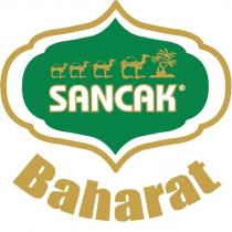 sancak baharat