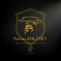 mersin ehliyet profesyonel sürücü kursu