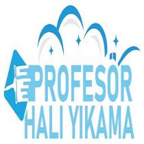 profesör halı yıkama