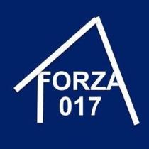 forza 017
