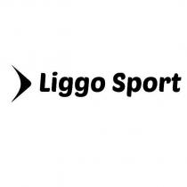 liggo sport