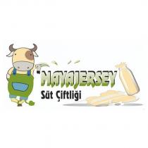 mayajersey süt çiftliği