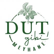 dut gibi meyhane