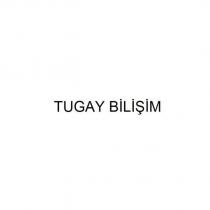 tugay bilişim