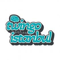 twingo istanbul