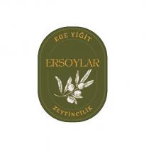 ege yiğit ersoylar zeytincilik