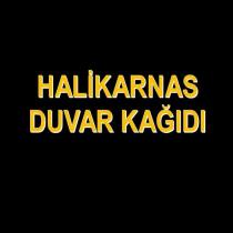 halikarnas duvar kağıdı