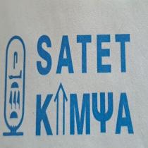satet kimya