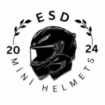 esd 2024 mini helments