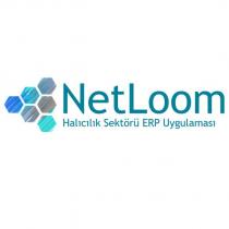 netloom halıcılık sektörü erp uygulaması