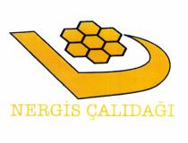 nergis çalıdağı