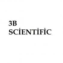 3b scientific