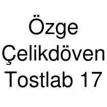 özge çelikdöven tostlab 17