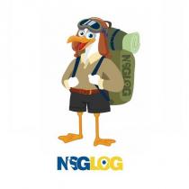 nsglog