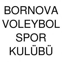 bornova voleybol spor kulübü