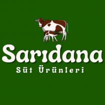 sarıdana süt ürünleri