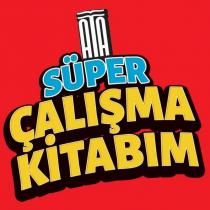 ata süper çalışma kitabım