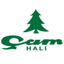 çam halı
